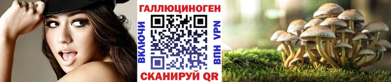 Галлюциногенные грибы Cubensis  Купить закладки  Старица 